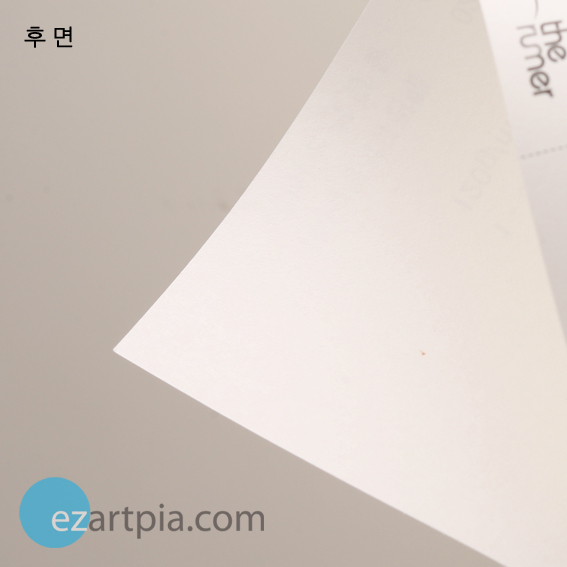 ū